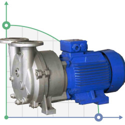 Vacuum pump 2BV5110 (AISI 304)