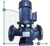IRG BGL 65-125(I)A (45/16), 4kW, bomba centrífuga vertical 2880