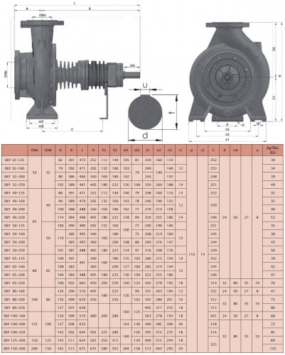 Насос для горячего масла EMSE EKY 50-250, 22 кВт, 2900, без двигателя