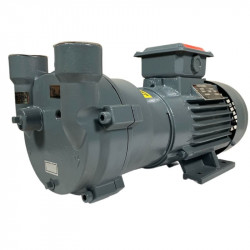 2BV2061, AISI 316 Vakuumpumpe für Verdampfer