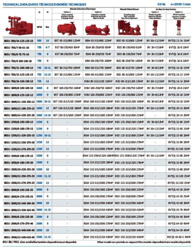 Automatyczna elektryczna pompownia gaśnicza BEEJ 300/7-30-4 (19 l/s, 70 m, 22 kW)
