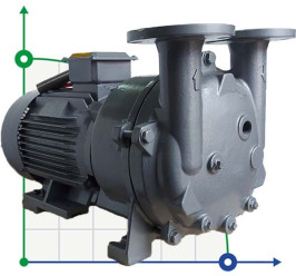 2BV5111, bomba de vacío AISI 316 para gases corrosivos