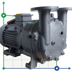 Vacuum pump 2BV5111 (AISI 316)