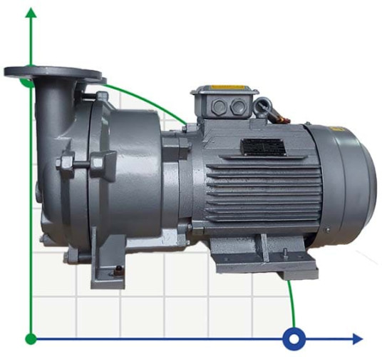 Vacuum pump 2BV5111 (AISI 316)