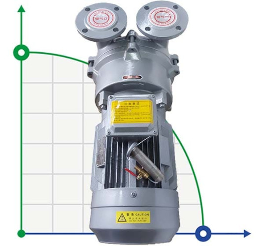 Vacuum pump 2BV5111 (AISI 316)