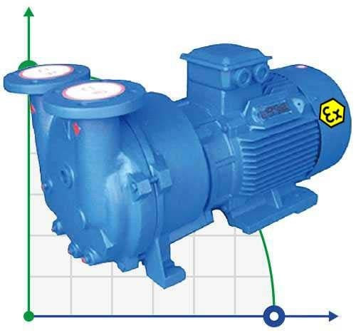 Vacuum pump 2BV5131 Ex (AISI 316)