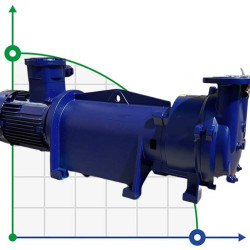 Bomba de vacío 2BV5131 Ex (AISI 316)