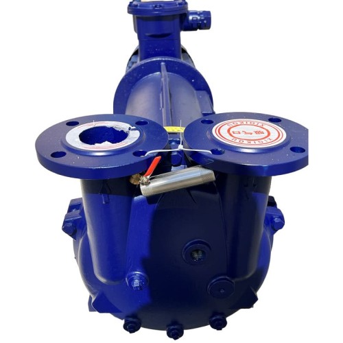 Vacuum pump 2BV5131 Ex (AISI 316)