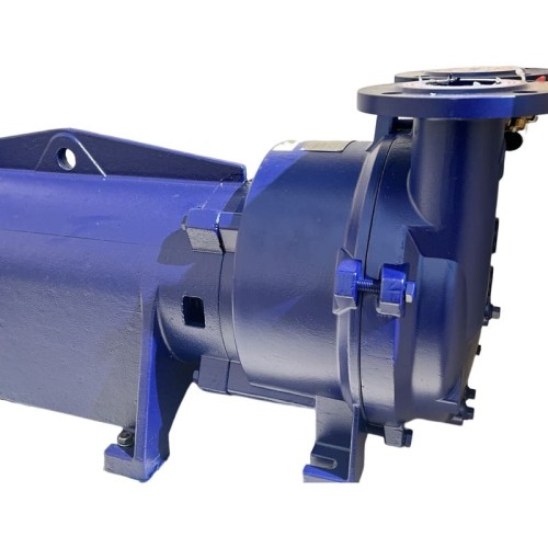 Vacuum pump 2BV5131 Ex (AISI 316)
