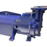 Vacuum pump 2BV5131 Ex (AISI 316)