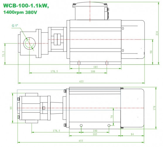 Pompe à engrenages en acier inoxydable pour le transfert d'huile moteur WCB-100/380V 50Hz, 50 l/min, 30 m, AISI 304, 1,1 kW, 1400 tr/min, Ex