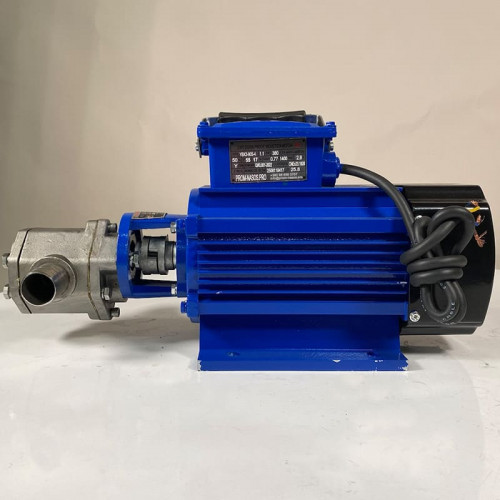 Pompe à engrenages en acier inoxydable pour le transfert d'huile moteur WCB-100/380V 50Hz, 50 l/min, 30 m, AISI 304, 1,1 kW, 1400 tr/min, Ex