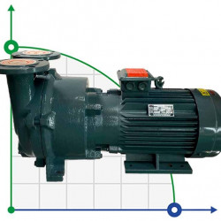 Bomba de vacío 2BV5121 (AISI 316)