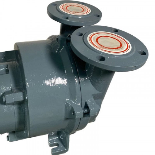 Вакуумный насос 2BV5121 (AISI 316)