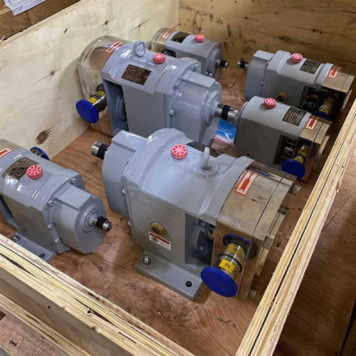 Bomba de levas para tomates y kétchup LQ3A-3-304/4/B, 0,3-0,8 m3/h, 0,3 MPa, 0,75 kW, 200-500 rpm, AISI 304 sin motor, conexión por abrazadera