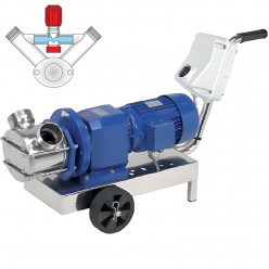 Impellerpumpe LIVERANI RID MINOR 40+BY-PASS NR TF 1,5kW, 350U/min, 380V mit Getriebe, auf einem Fahrgestell mit Standard-Bedienfeld