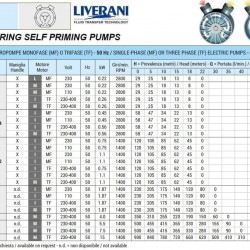 Vortexpumpe für die Weinherstellung LIVERANI EP SENIOR 1 1/2, 120 l/min, MF/I, 0,75 kW, 1400 U/min, 220 V, AISI 316, Seal Cer.-Grafite-EPDM