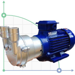 2BV2070, bomba de vacío de acero inoxidable AISI 316 para productos químicos