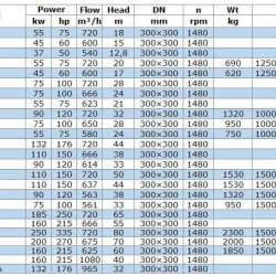 IRG BGL 300-460 (720/65), 185kW, 1480 насос відцентровий вертикальний