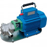 Stainless steel gear pump for kerosene transfer WCB-100/380V 50Hz, 100 l/min, 30 m, AISI 304, 1.1 kW, 2900 rpm, Ex