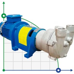 bomba de vacío 2BV6131 (AISI 316)