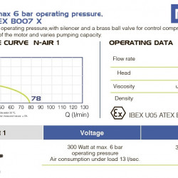 Silnik pneumatyczny pompy beczkowej FLUIMAC NETTUNE N-AIR 1, 300 W, 220B