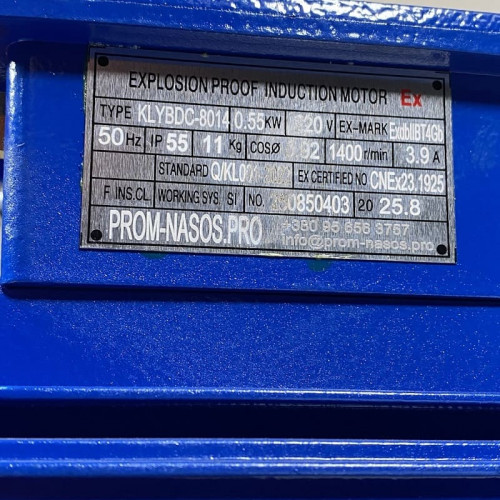 Pompe à engrenages en acier inoxydable pour le pompage de liquides visqueux WCB-50/220V 50Hz, 25 l/min, 30 m, AISI 304, 0,55 kW, 1400 tr/min, Ex