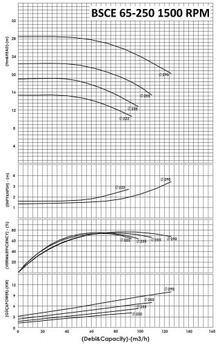 BSCE 65-250 (1500) - насос двустороннего входа без двигателя