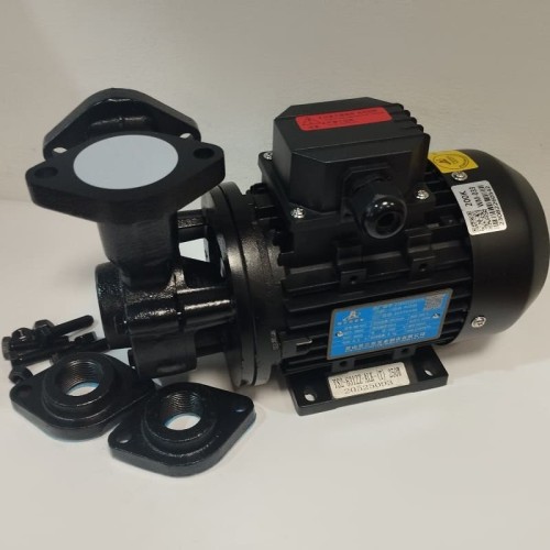Vortex oil pump WM-033, 380V -30°C+200°C