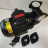 Vortex oil pump WM-033, 380V -30°C+200°C
