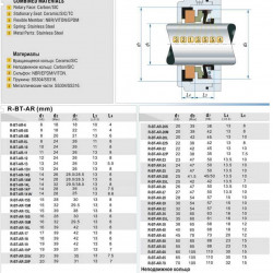Gleitringdichtung R-BT-AR 14, L, CAR/CER, NBR, 304, d7=29,5 für Pumpen der Baureihen CALPEDA NR, MXS, MXSM, MXSU, E-MXPM