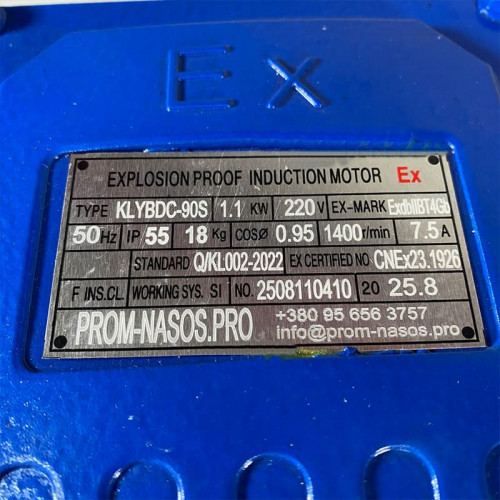 Edelstahl-Zahnradpumpe für Motoröl WCB-100/220V 50Hz, 50 l/min, 30 m, AISI 304, 1,1 kW, 1400 U/min, Ex