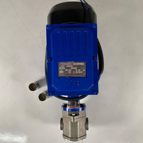 Edelstahl-Zahnradpumpe für Motoröl WCB-100/220V 50Hz, 50 l/min, 30 m, AISI 304, 1,1 kW, 1400 U/min, Ex