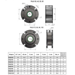 PALM 70-S-E agitator shaft seal