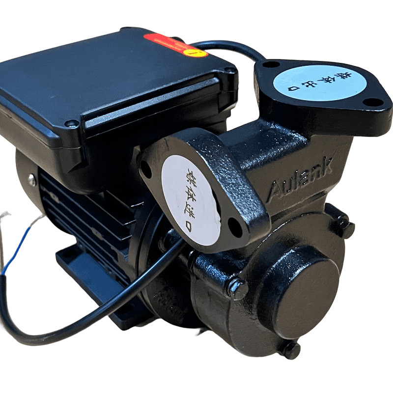 Buy Vortex oil pump WM-033S, 220V -30°C+200°C — Sealing.com.ua