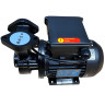 Vortex oil pump  WM-033S, 220V -30°C+200°C