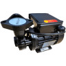 Vortex oil pump  WM-033S, 220V -30°C+200°C