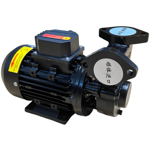 Vortex oil pump WM-05, 380V -30°C+200°C