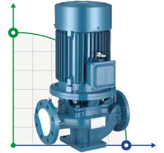Bomba centrífuga vertical IRG BGL 80-100 (50/12,5), 3kW, 2880