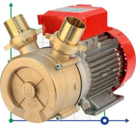 BE-T 50 Essig-Flüssigkeitsringpumpe