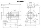 BGWH 80-315(I) (50/32), 11kW, 1450 насос нержавеющий горизонтальный