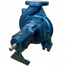 Pompe cantilever mono-étagée EMSE ENP 80-200, 37kW, 3000 tr/min