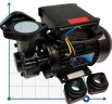 Vortex oil pump WM-05S, 220V -30°C+200°C