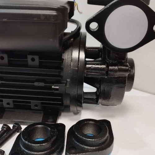 Vortex oil pump WM-05S, 220V -30°C+200°C