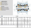 Doppelenddichtung R-208 35, CAR/SIC/CAR/SIC, EPDM, 304