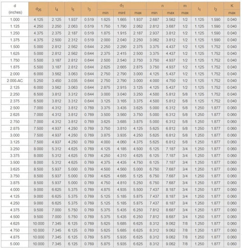 Kartuschendichtung für Pumpe R-CSM 38, SiC/SiC, Viton, 304