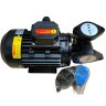 Vortex oil pump WM-10, 380V -30°C+200°C