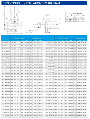 Pionowa pompa odśrodkowa IRG TKG 50/250-11/2 (12,5/80), 11 kW, 2900