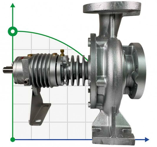 Pompe à huile thermique EMSE EKY 65-200, 37 kW, 2900, sans moteur