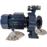 Monoblock centrifugal pump BST 65-125/5.5, 3000